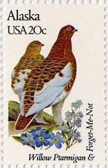 Willow Ptarmigan and Forget-Me-Not