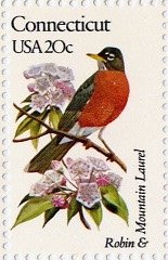 Robin and Mountain Laurel