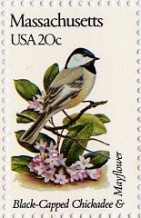 Black-Capped Chickadee and Mayflower 