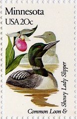 Common Loon and Showy Lady Slipper