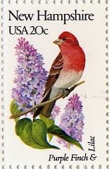 Purple Finch and Lilac