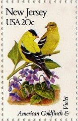 American Goldfinch and Violet