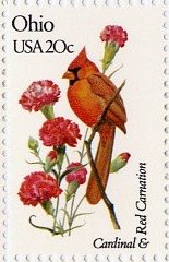 Cardinal and Red Carnation